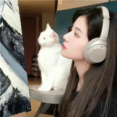小老鼠历险记